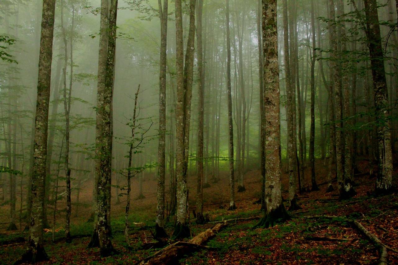 Tobavarchkhili Lakes Trek