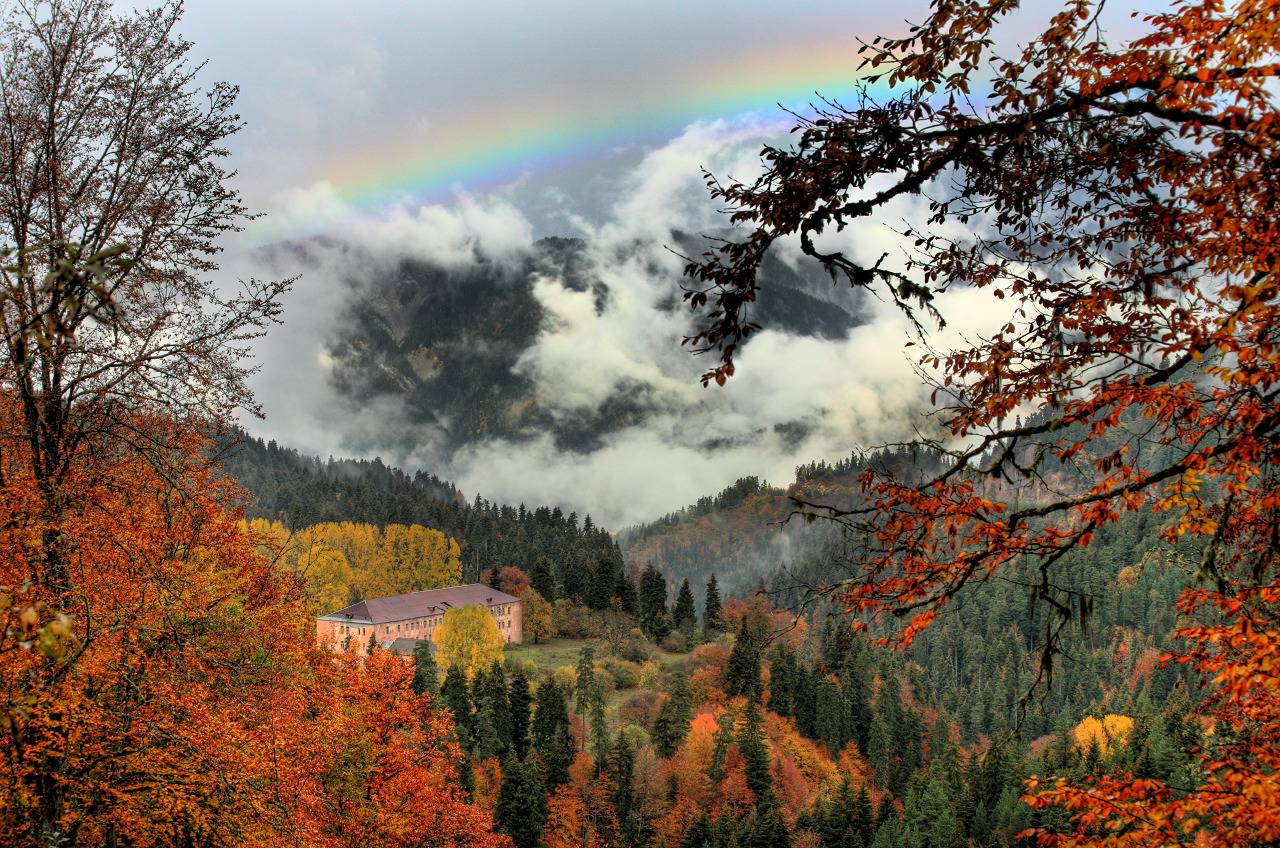 Borjomi-Kharagauli National Park Trek