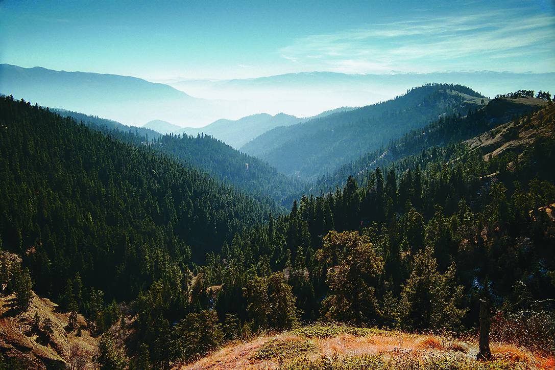 Borjomi-Kharagauli National Park Trek