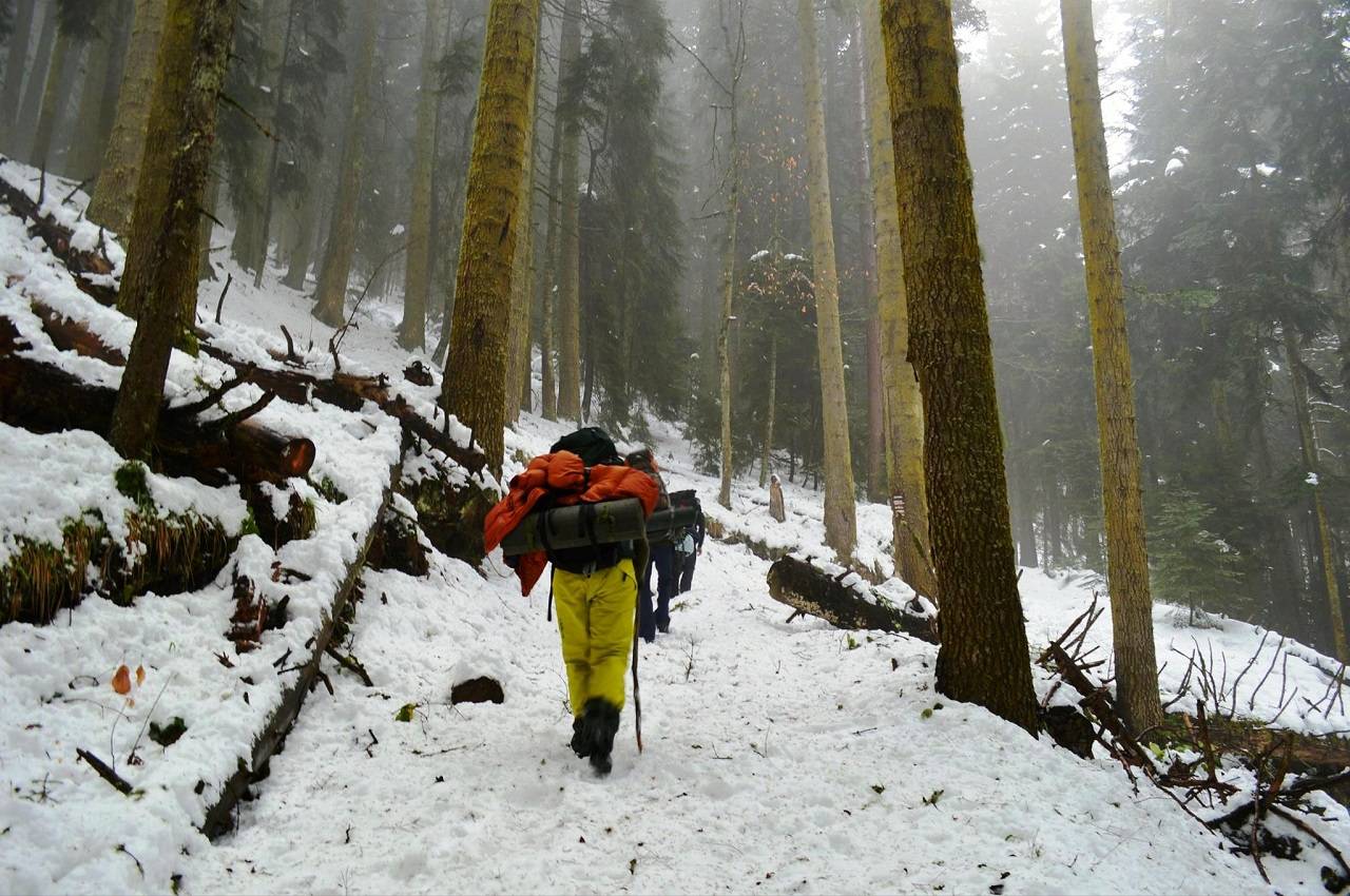 Borjomi-Kharagauli National Park Trek